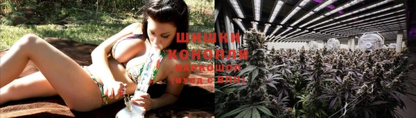трава Наволоки