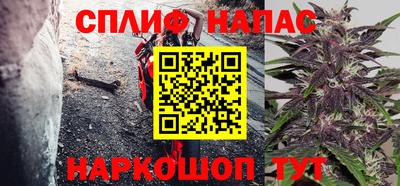 сатива Ирбит