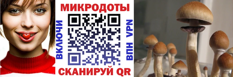 KRAKEN зеркало купить наркоту Лянтор Псилоцибиновые грибы Cubensis