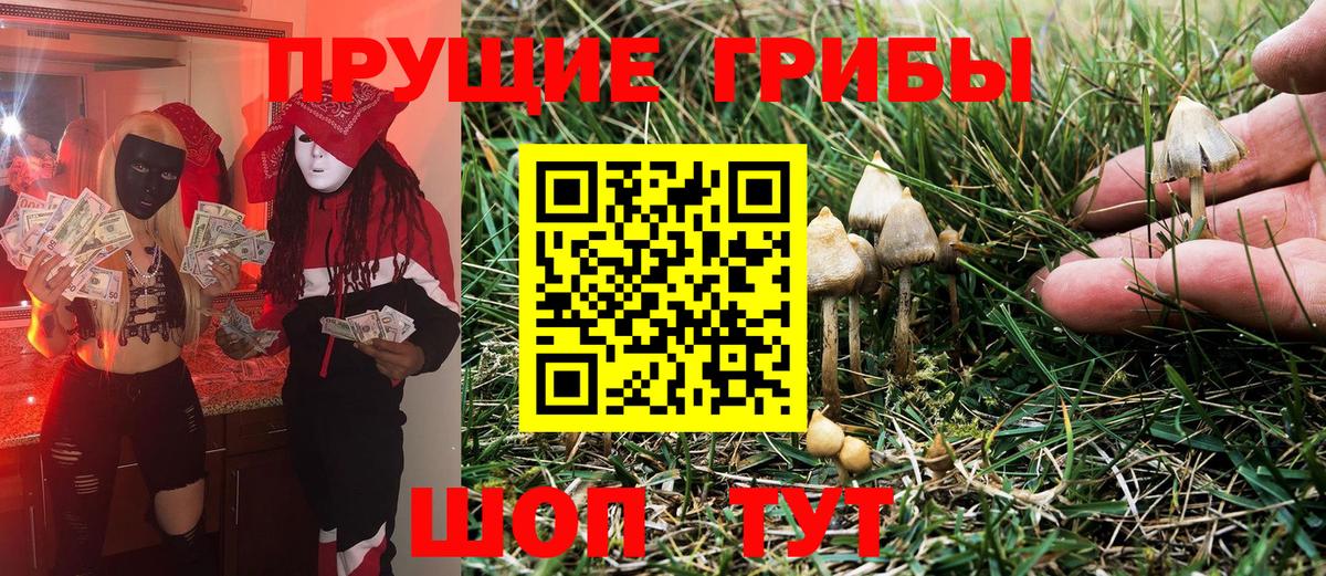 Псилоцибиновые грибы мицелий Лянтор