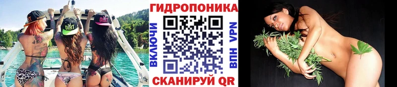 Конопля планчик  хочу наркоту  Лянтор 